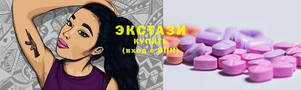 ECSTASY Богородск