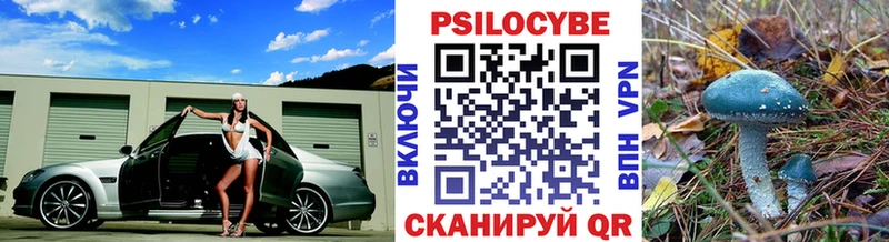 Галлюциногенные грибы Cubensis  Воркута 